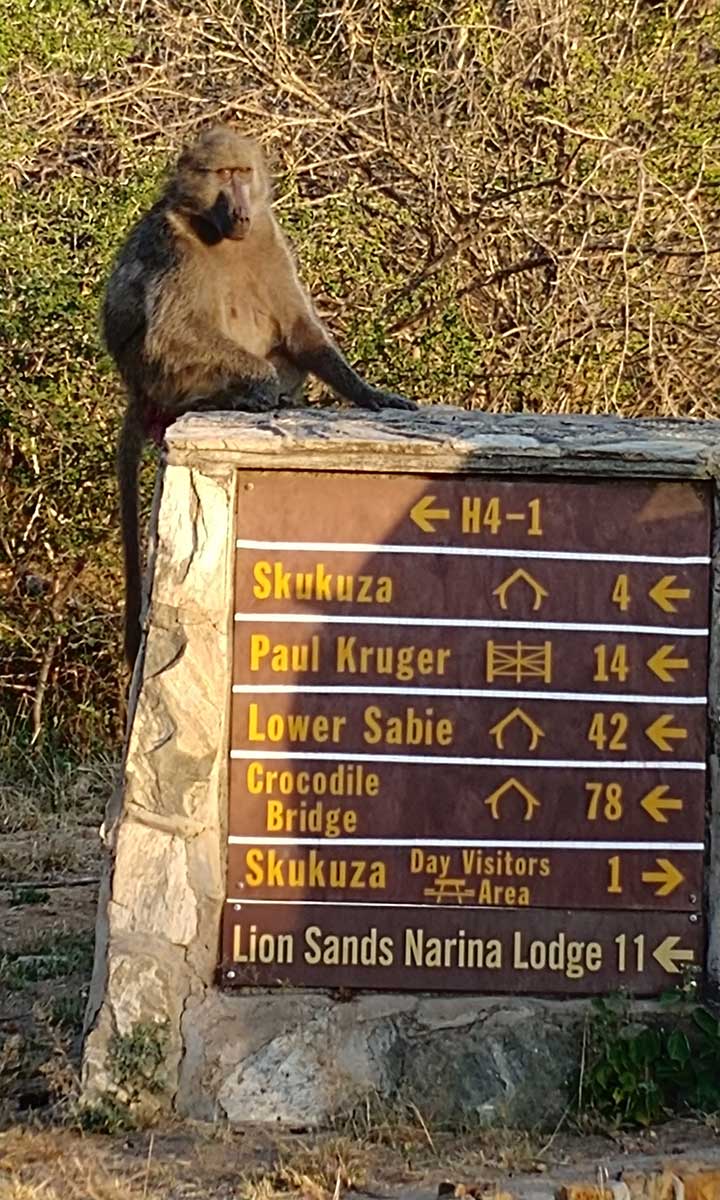 monkey_signs
